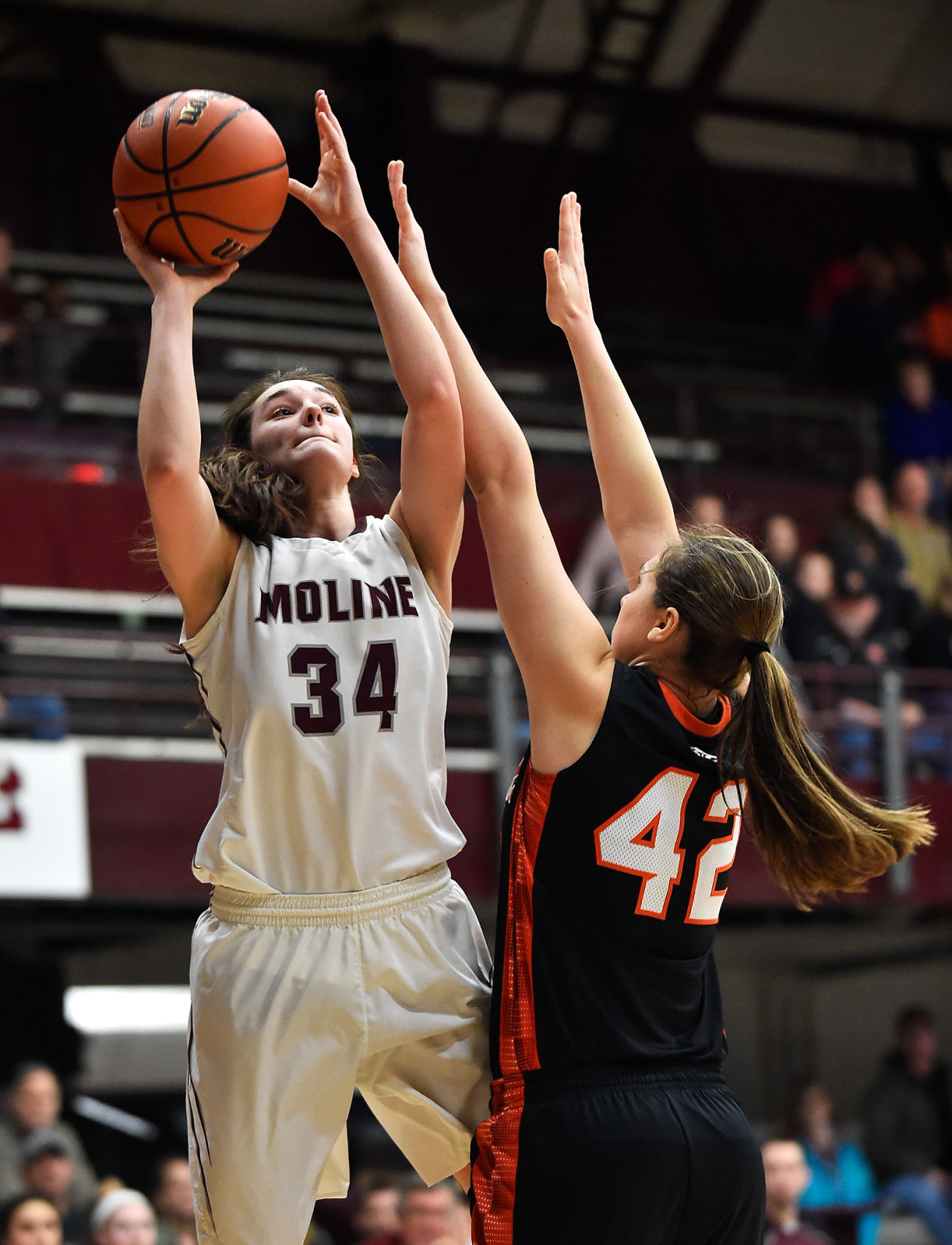 UTMolGBB19_17a.jpg